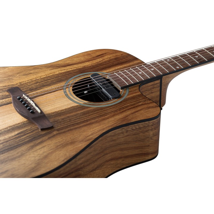 Micro NVTone Swan Interne