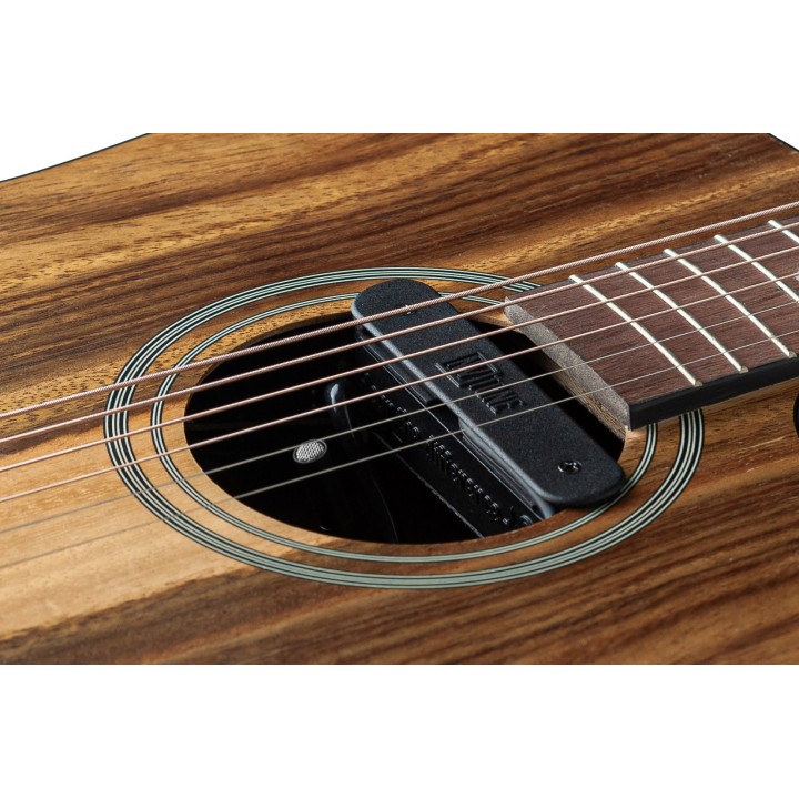 Micro NVTone Swan Interne