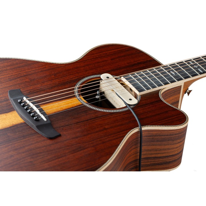 Micro NVTone Swan externe