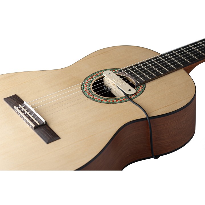 Micro NVTone Swan externe