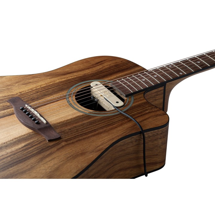 Micro NVTone Swan externe