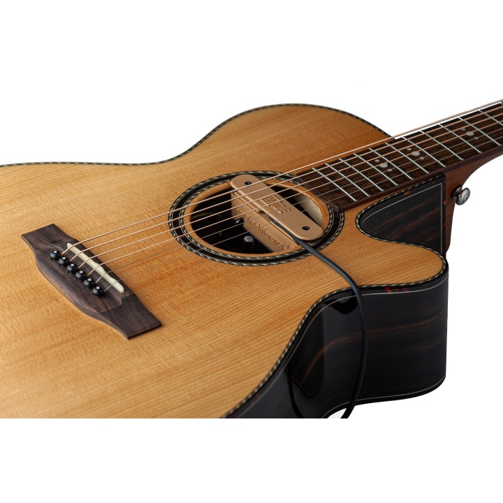 Micro NVTone Swan externe