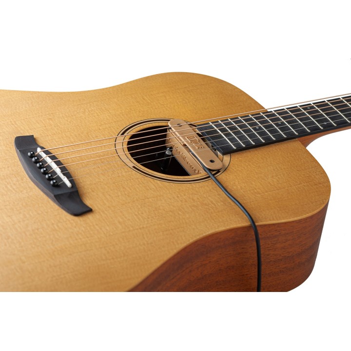 Micro NVTone Swan externe