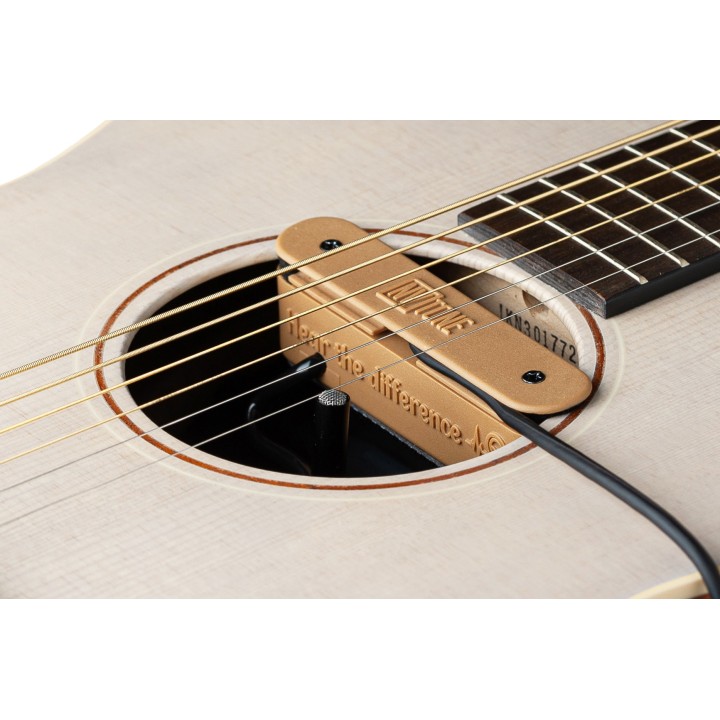 Micro NVTone Swan externe