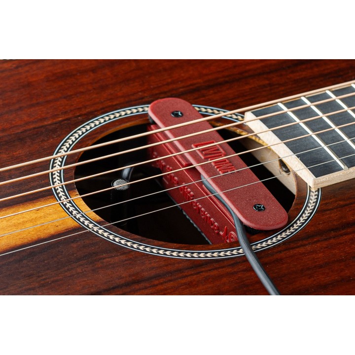 Micro NVTone Swan externe