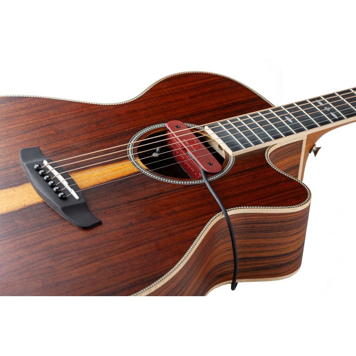 Micro NVTone Swan externe