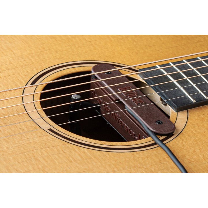 Micro NVTone Swan externe