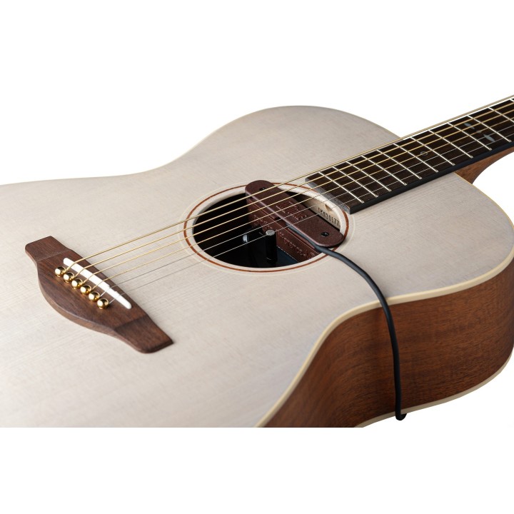 Micro NVTone Swan externe