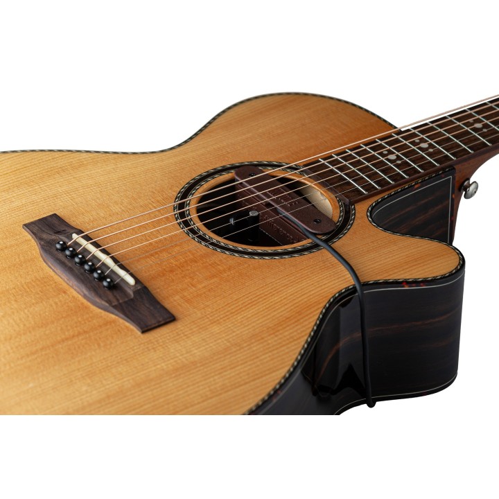 Micro NVTone Swan externe