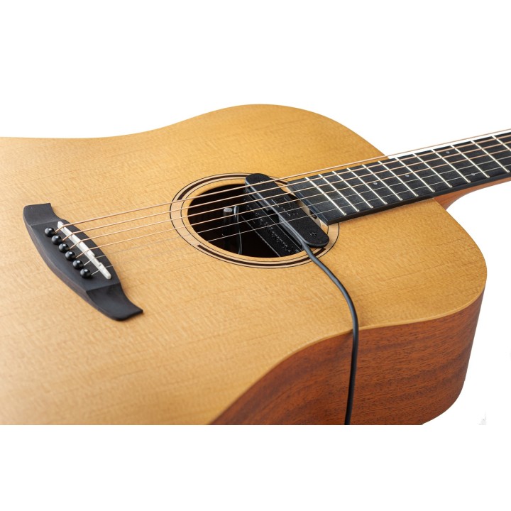 Micro NVTone Swan externe