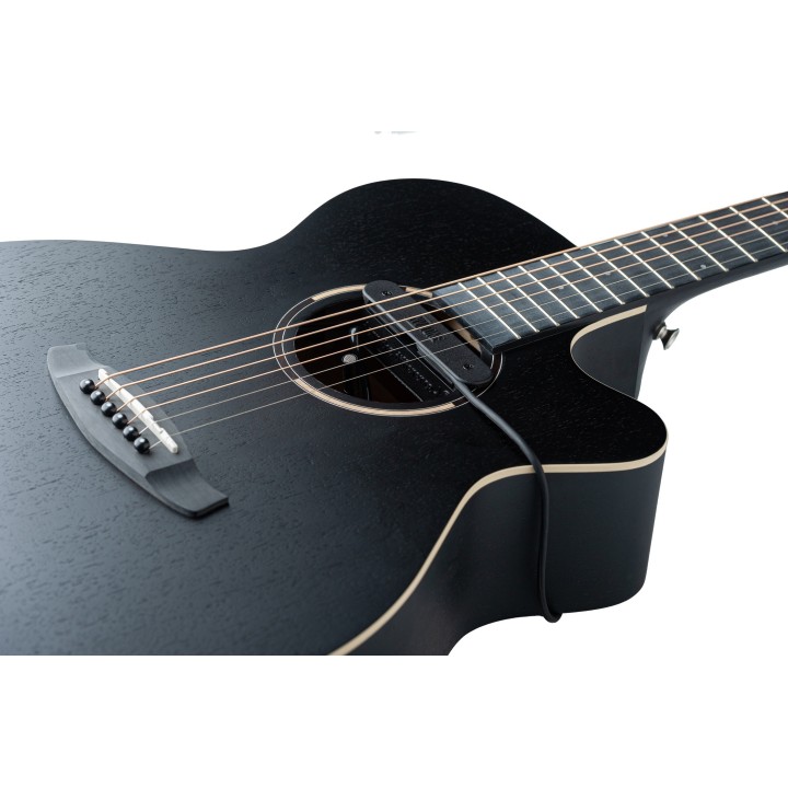 Micro NVTone Swan externe