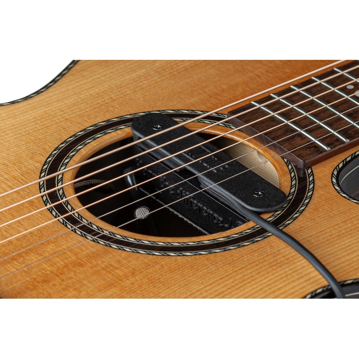 Micro NVTone Swan externe