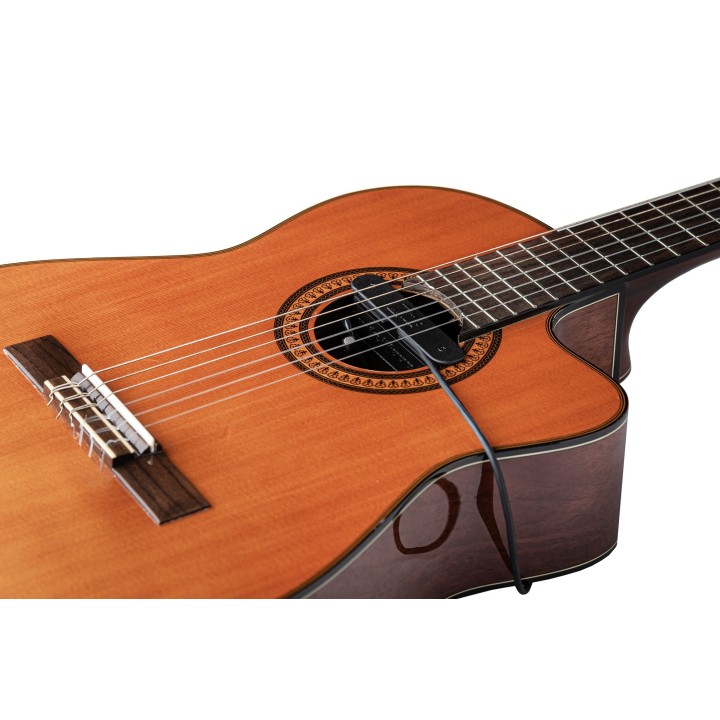 Micro NVTone Swan externe