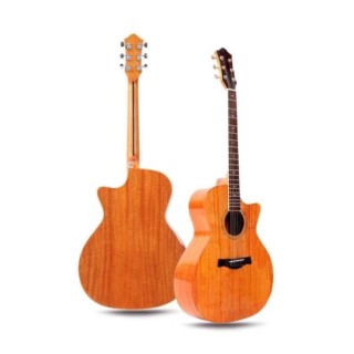 Guitare folk OMS-300C