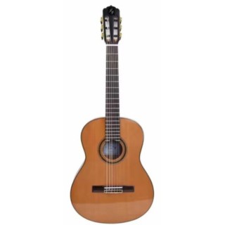 Guitare classique FGC-200