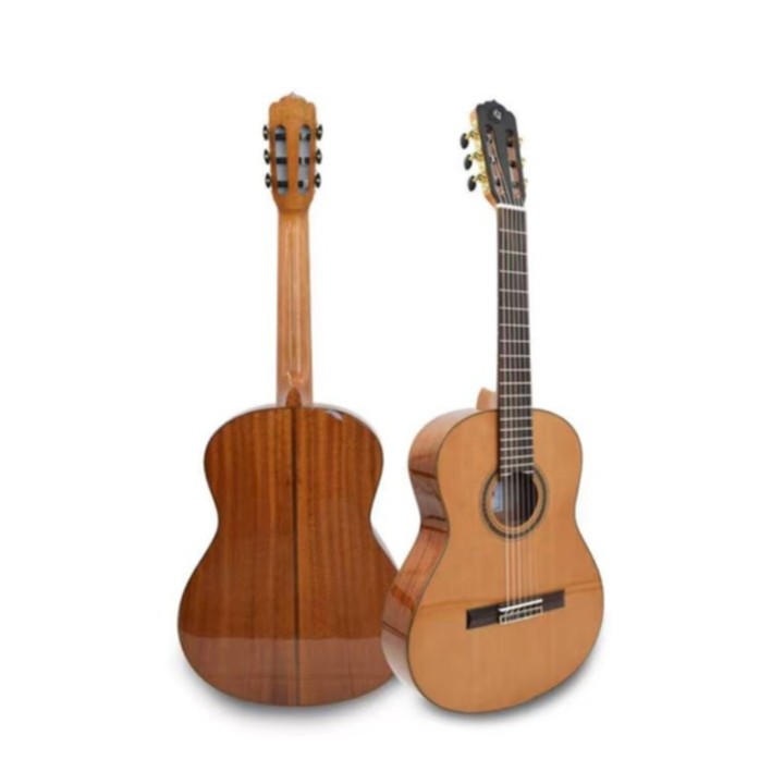 Guitare classique FGC-200