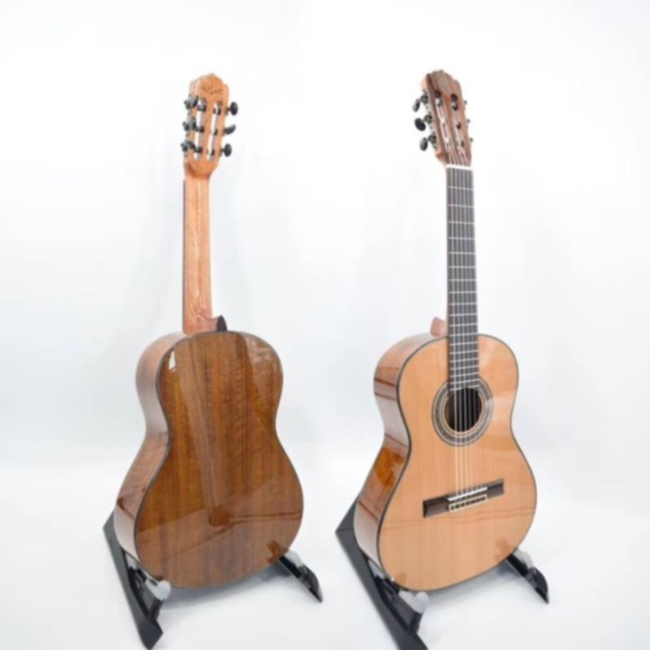 Guitare classique FGC-101