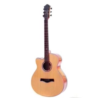 Guitare folk OM-102C LH