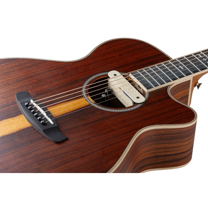 Micro NVTone Swan Interne