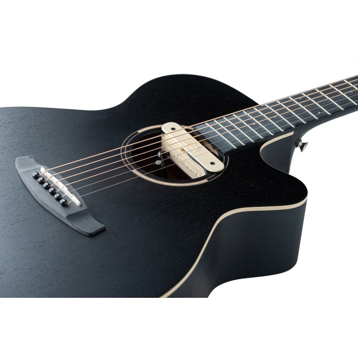 Micro NVTone Swan Interne