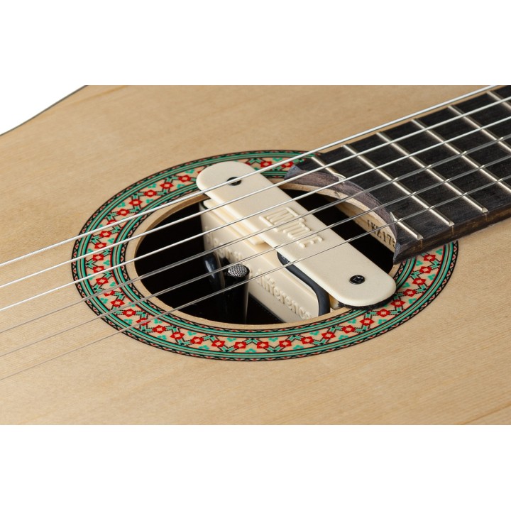 Micro NVTone Swan Interne