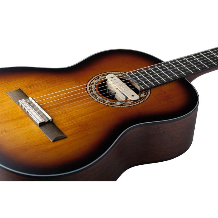 Micro NVTone Swan Interne