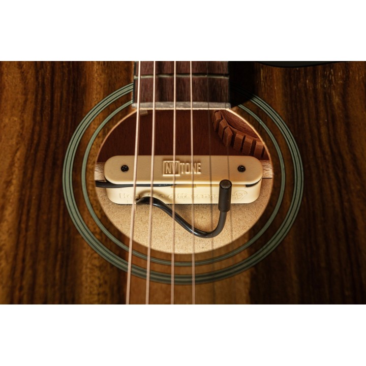 Micro NVTone Swan Interne