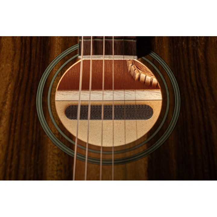 Micro NVTone Swan Interne