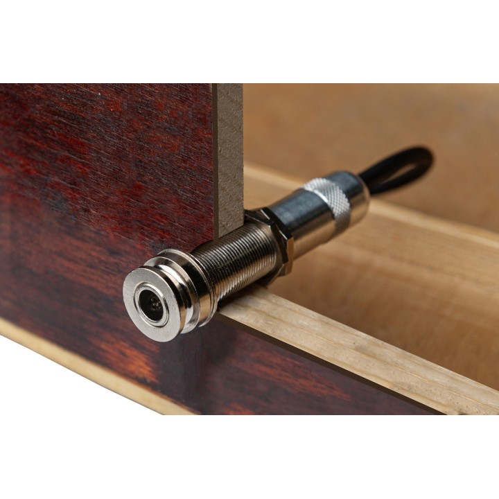 Micro NVTone Swan Interne