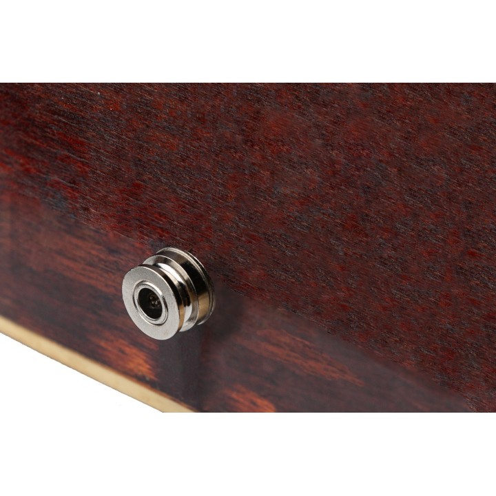 Micro NVTone Swan Interne