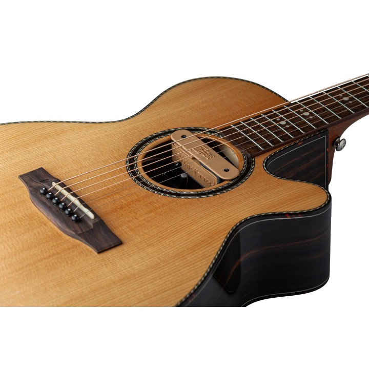 Micro NVTone Swan Interne