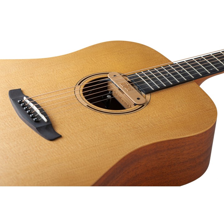 Micro NVTone Swan Interne