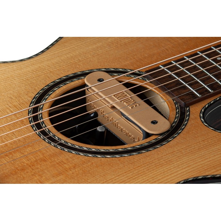 Micro NVTone Swan Interne