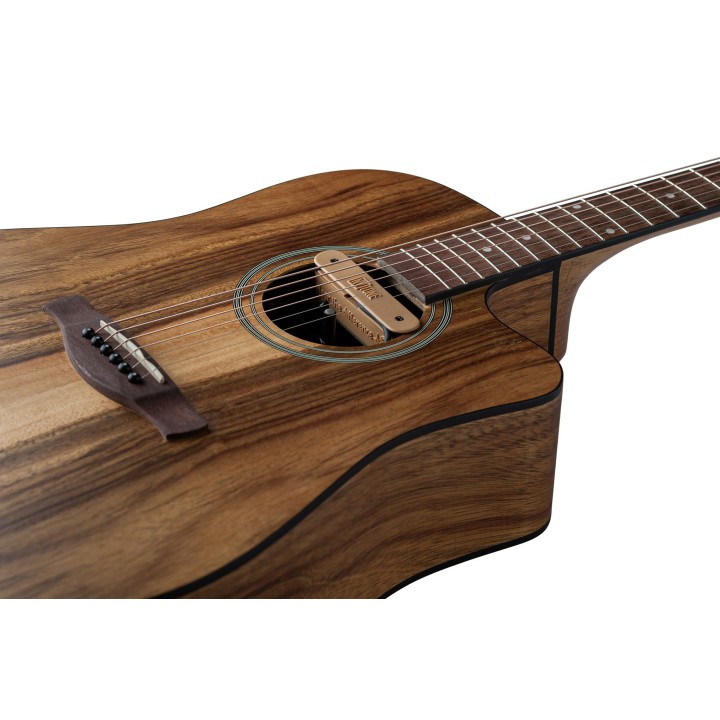 Micro NVTone Swan Interne