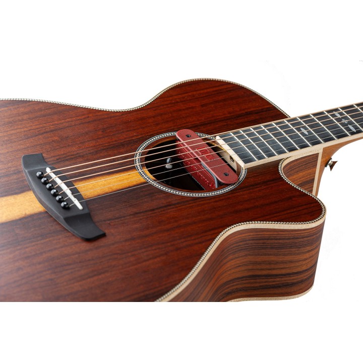 Micro NVTone Swan Interne