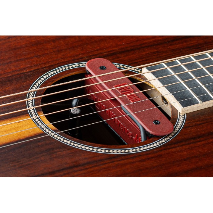 Micro NVTone Swan Interne