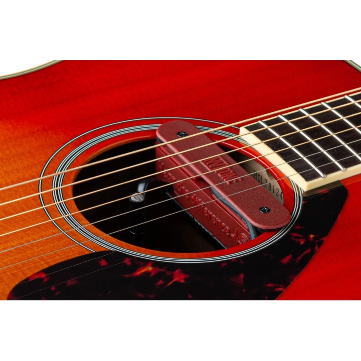 Micro NVTone Swan Interne