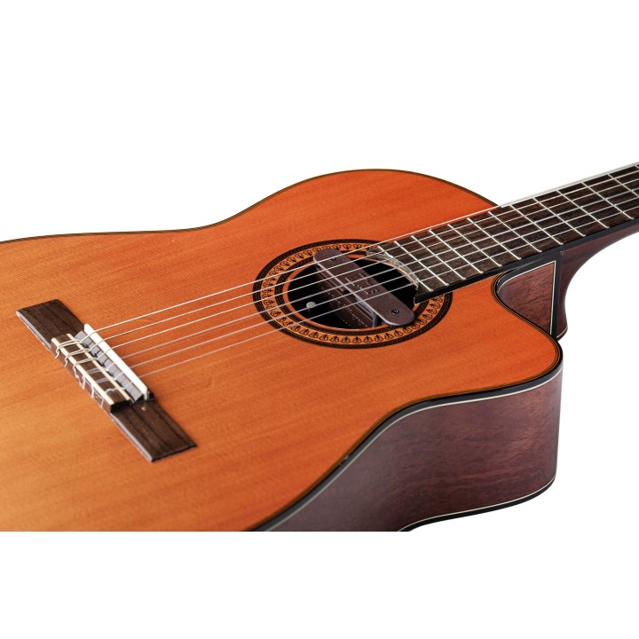 Micro NVTone Swan Interne