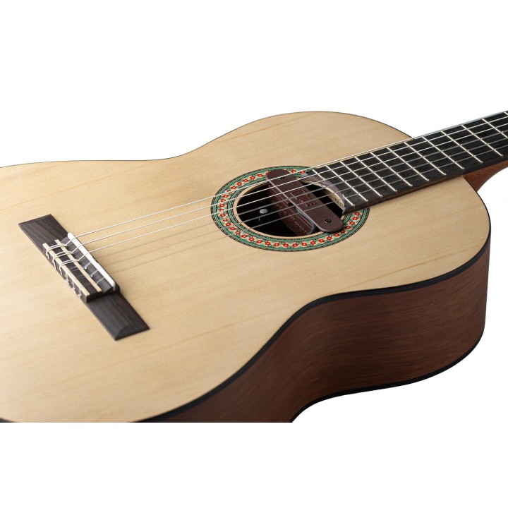 Micro NVTone Swan Interne