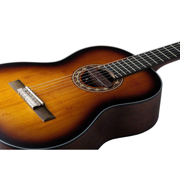 Micro NVTone Swan Interne