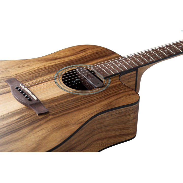 Micro NVTone Swan Interne