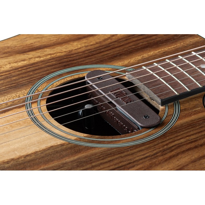 Micro NVTone Swan Interne