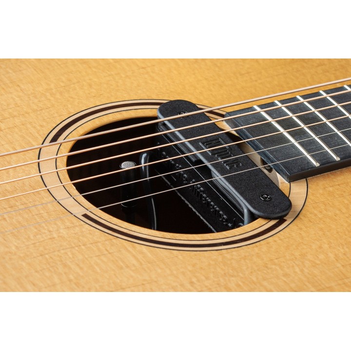 Micro NVTone Swan Interne