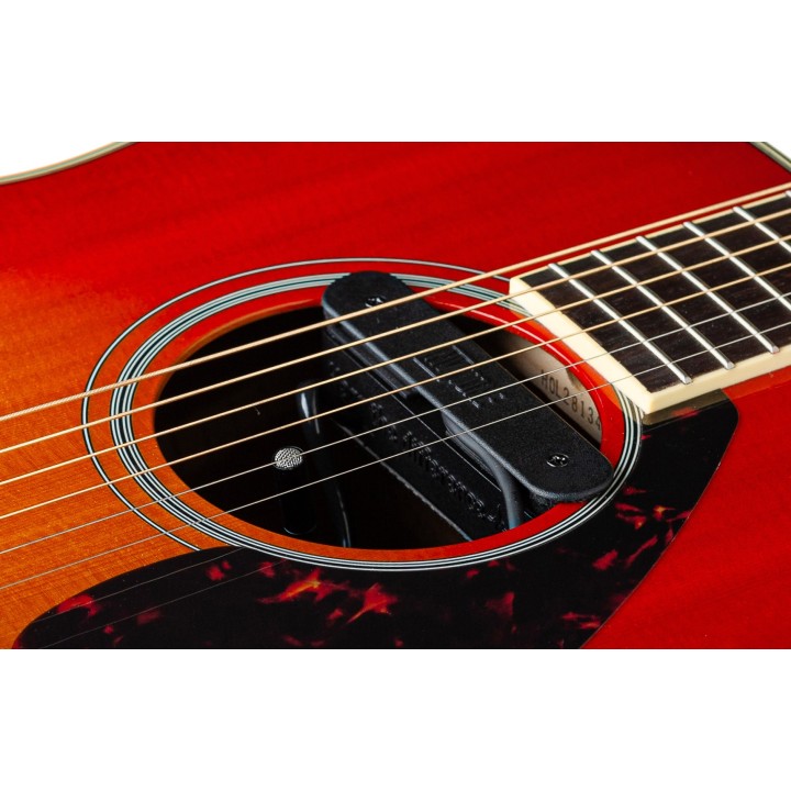 Micro NVTone Swan Interne