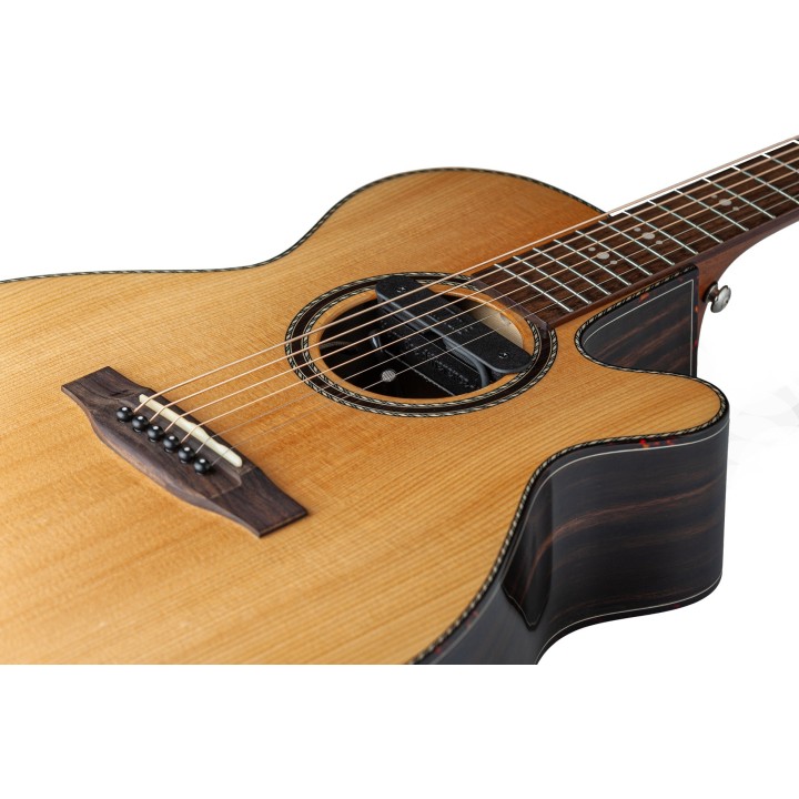 Micro NVTone Swan Interne