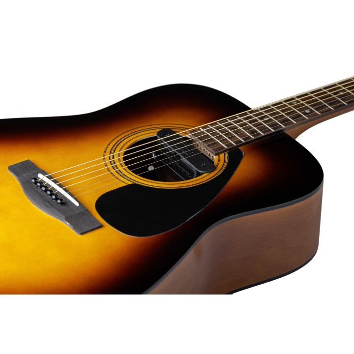 Micro NVTone Swan Interne