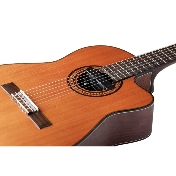 Micro NVTone Swan Interne