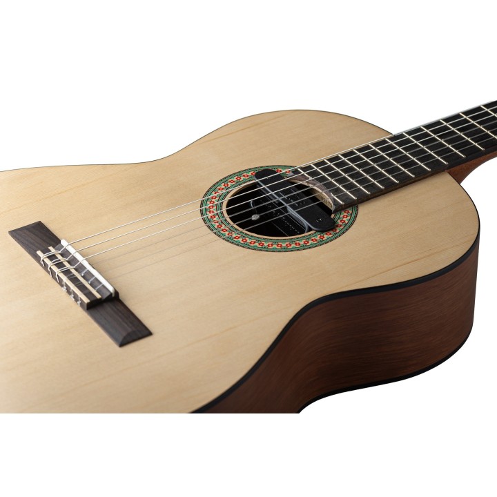 Micro NVTone Swan Interne