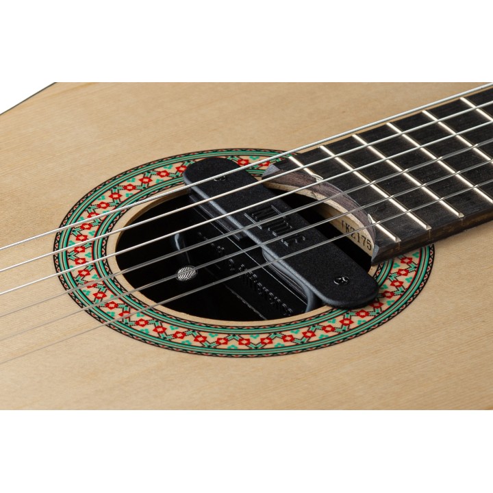 Micro NVTone Swan Interne