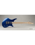 Guitares électriques